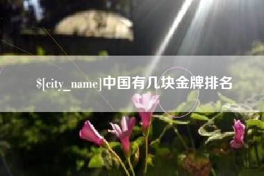 陇南中国有几块金牌排名