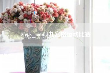 陇南九宫格运动比赛