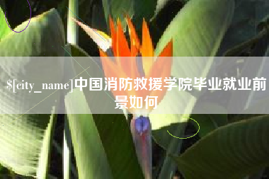 陇南中国消防救援学院毕业就业前景如何