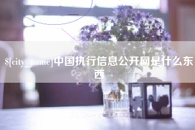 陇南中国执行信息公开网是什么东西