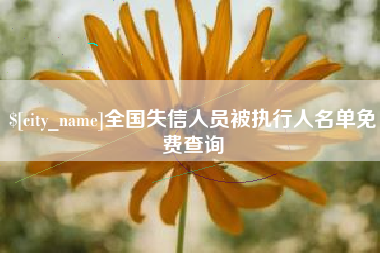 陇南全国失信人员被执行人名单免费查询