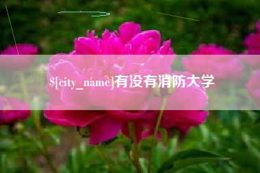 陇南有没有消防大学