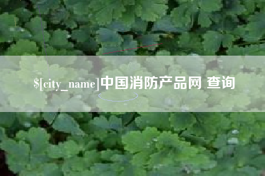 陇南中国消防产品网 查询