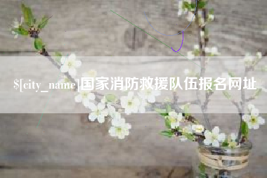 陇南国家消防救援队伍报名网址