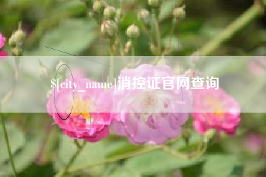 陇南消控证官网查询