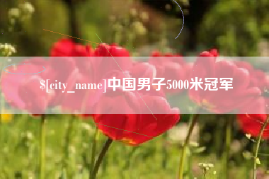 陇南中国男子5000米冠军