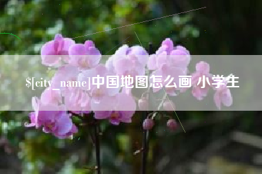 陇南中国地图怎么画 小学生