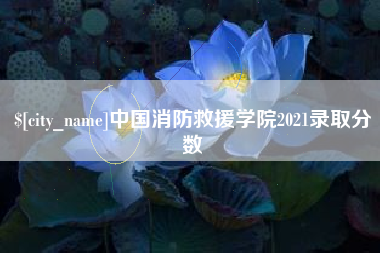 陇南中国消防救援学院2021录取分数