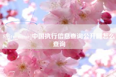 陇南中国执行信息查询公开网怎么查询
