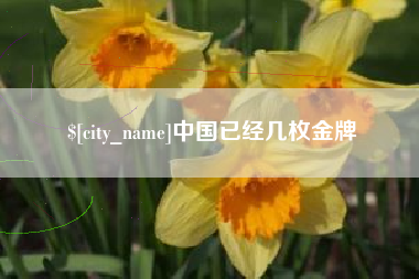 陇南中国已经几枚金牌