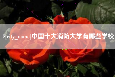 陇南中国十大消防大学有哪些学校