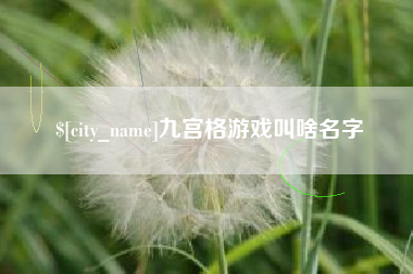 陇南九宫格游戏叫啥名字