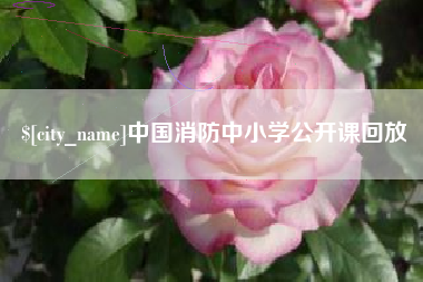 陇南中国消防中小学公开课回放