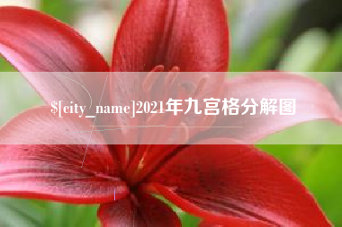 陇南2021年九宫格分解图