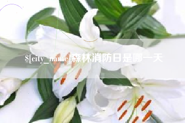 陇南森林消防日是哪一天