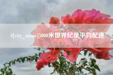 陇南5000米世界纪录平均配速