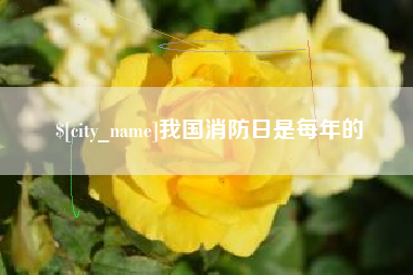 陇南我国消防日是每年的
