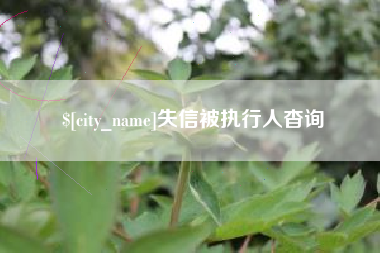 陇南失信被执行人杳询