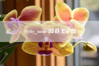 陇南邱县王子磊