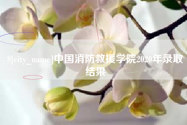 陇南中国消防救援学院2020年录取结果