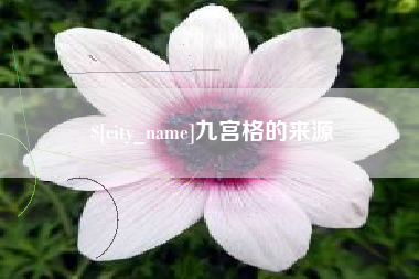 陇南九宫格的来源