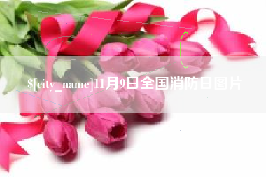 陇南11月9日全国消防日图片