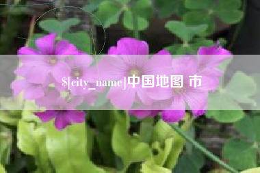 陇南中国地图 市