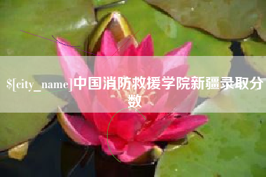 陇南中国消防救援学院新疆录取分数