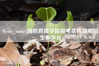 陇南消防救援学院报考条件湖南招生多少分