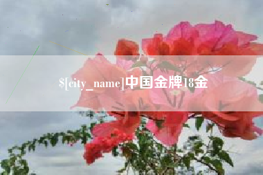 陇南中国金牌18金
