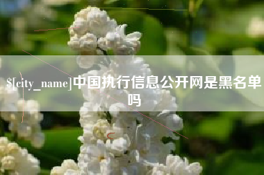 陇南中国执行信息公开网是黑名单吗