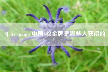 陇南中国6枚金牌是哪些人获得的