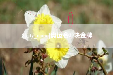 陇南奥运会39块金牌
