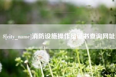 陇南消防设施操作员证书查询网址