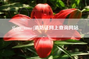 陇南消防证网上查询网站