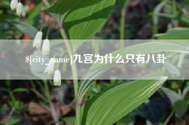 陇南九宫为什么只有八卦