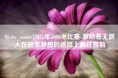 陇南2021年5000米比赛-激励着无数人在追求梦想的道路上勇往直前