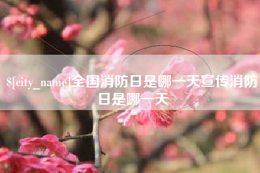 陇南全国消防日是哪一天宣传消防日是哪一天