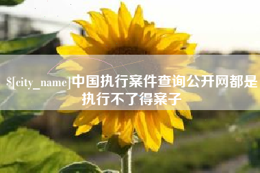 陇南中国执行案件查询公开网都是执行不了得案子