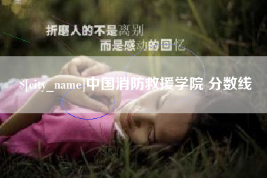 陇南中国消防救援学院 分数线