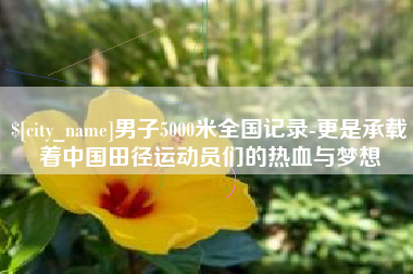 陇南男子5000米全国记录-更是承载着中国田径运动员们的热血与梦想