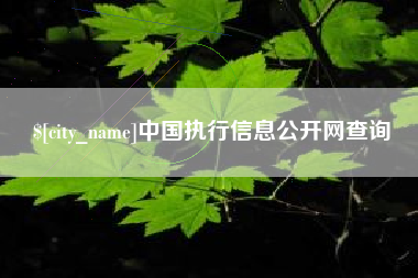 陇南中国执行信息公开网查询