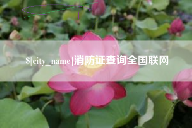 陇南消防证查询全国联网