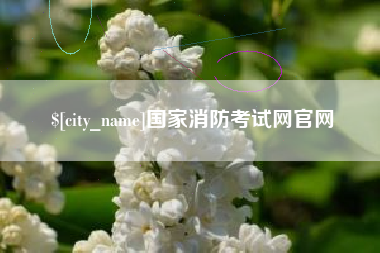 陇南国家消防考试网官网
