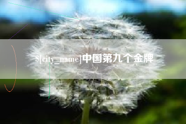 陇南中国第九个金牌