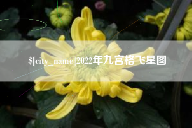 陇南2022年九宫格飞星图