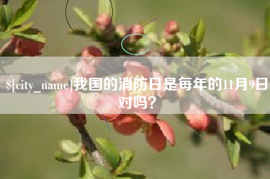 陇南我国的消防日是每年的11月9日对吗？