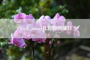 陇南九宫如何排日