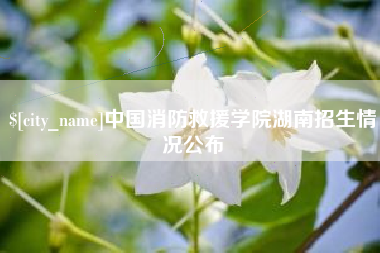 陇南中国消防救援学院湖南招生情况公布