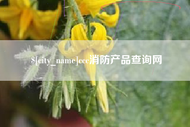 陇南ccc消防产品查询网